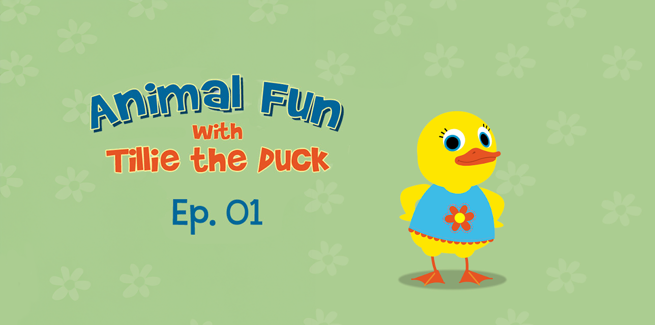 Animal Fun With Tillie the Duck Episode 1