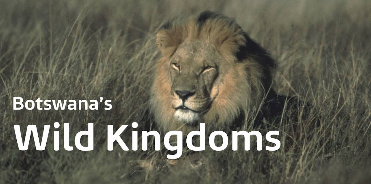 Botswana's Wild Kingdoms