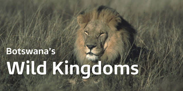 Botswana's Wild Kingdoms