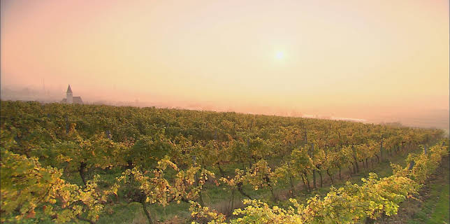 14:25: Weinviertel - Weites Land | 3SAT | 3/6 2026