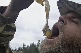 Alone- Season 1: The Talons of Fear