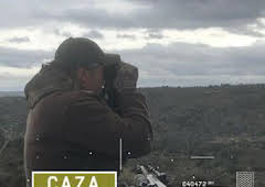 Corzos en las aldeas históricas de Portugal