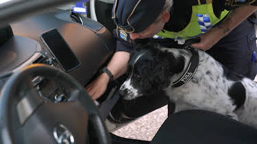 18:10: Gränsbevakarna Sverige (S4 E13) (S4) | Kanal 5 | 4/30 2026