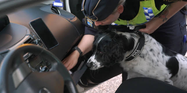 11:05: Grensevakten Sverige (S4 E13) (S4) | MAX | 12/16 2025