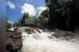 Expedition with Steve Backshall: Season 1: Suriname: Ghost River
