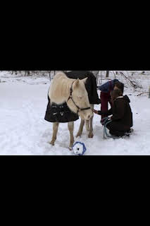 21:30: El increíble doctor Pol: Fatiga post-parto | Nat Geo Wild | 3/30 2026