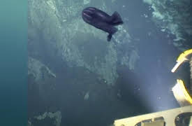 Contact Season 1: Alien Evidence