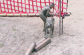 Desafío The Box season-2021: Desafío The Box Programa 11