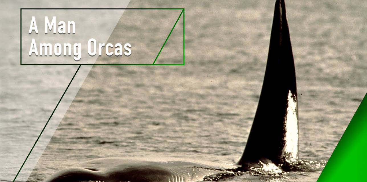 A Man Among Orcas (2002)