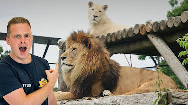 10:00 AM: One Zoo Three (S4) | CBBC | 6/26 2026
