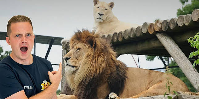 10:10 AM: One Zoo Three (S4) | CBBC | 11/3 2025