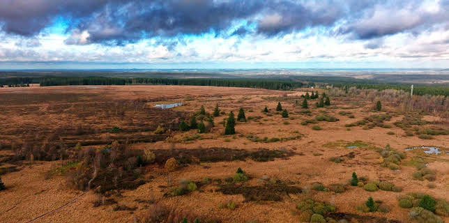 20:15: Geheimnis Hohes Venn - Das faszinierende Moor in der Eifel | WDR Fernsehen | 11/21 2025