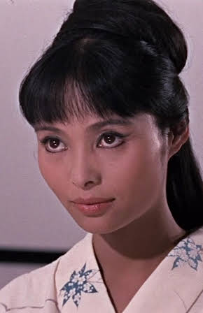 Akiko Wakabayashi as 