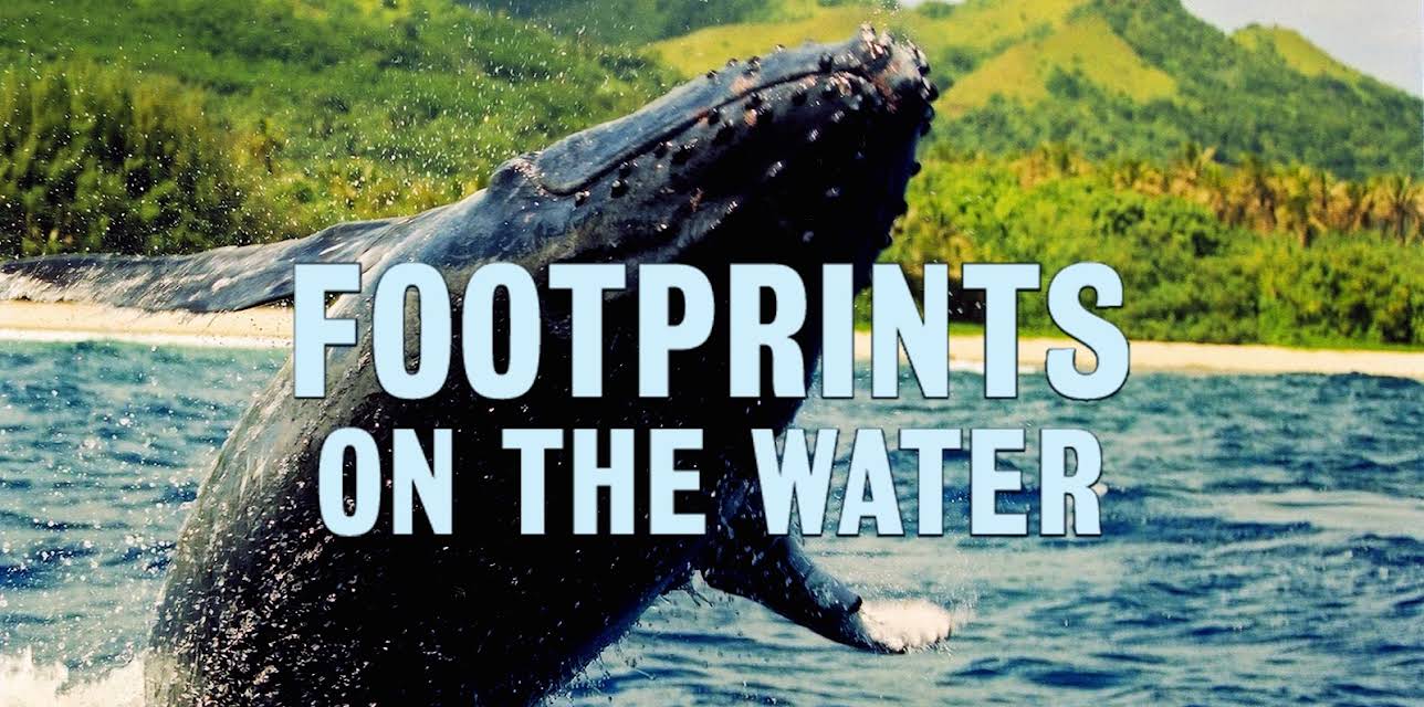Footprints on the Water