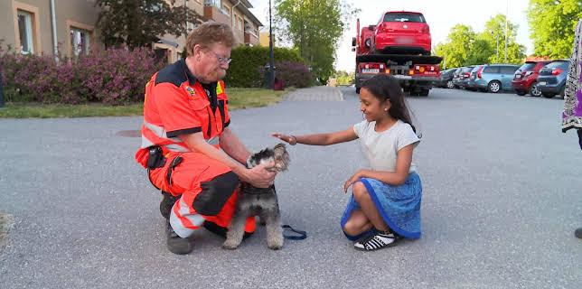 17:20: Vägens hjältar (S5 E13) (S5) | Kanal 9 | 2/26 2026