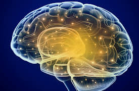 Mastering Tai Chi: Mind over Muscles