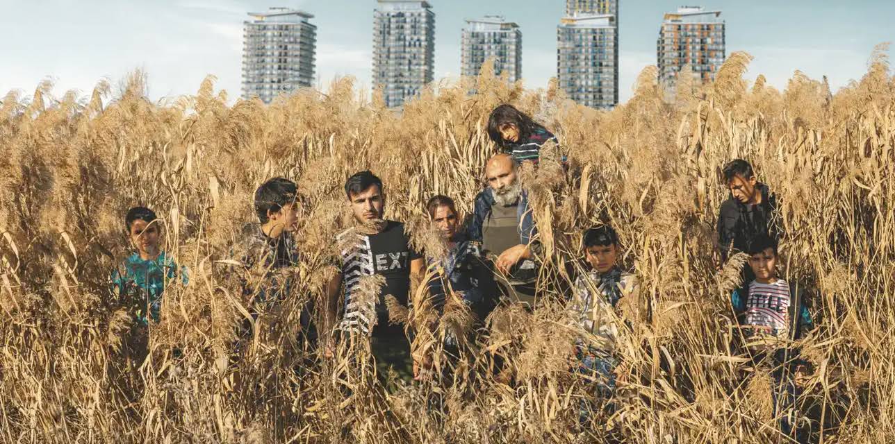 Acasă, My Home (2021)