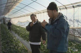 The Mind of a Chef: Episode 12