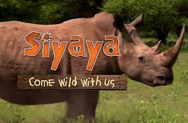 Siyaya – Come Wild With Us: Mountain of Water