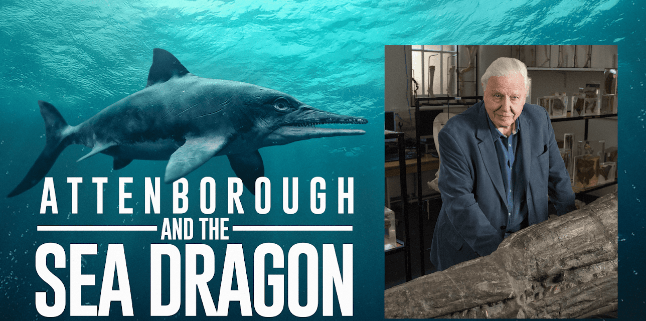 Attenborough & The Sea Dragon (2018)