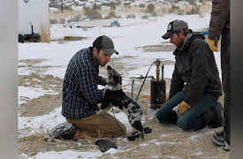 Building Off the Grid: Big Sky Ranch, Season 1: The Bison Come Home
