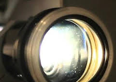 El documental: Starring Jerry as Himself