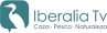 Iberalia TV