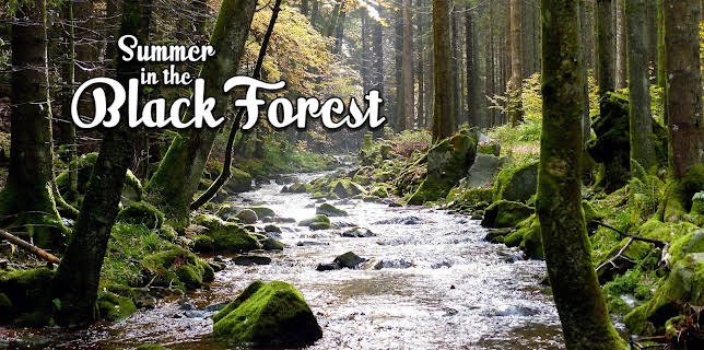 Summer in the Black Forest