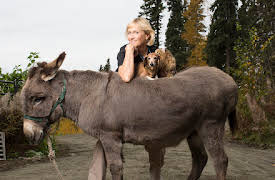 Dr. Dee: Alaska Vet: Episode 7