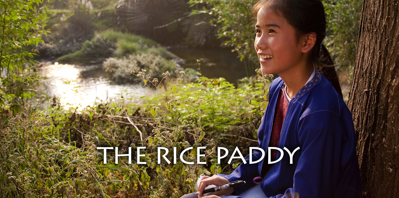 The Rice Paddy (2012)