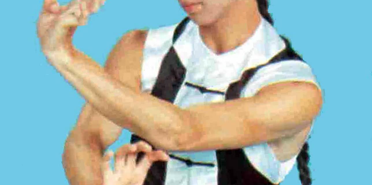 Fearless Golden Dragon (1975)