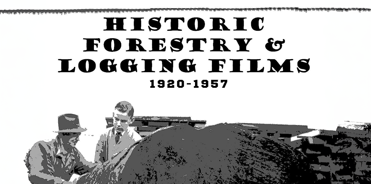 Historic Forestry & Logging Films 1920-1957 (2011)