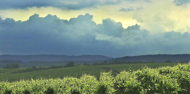 08:55: Feine Küche im Rheingau | HR Fernsehen | 3/10 2026