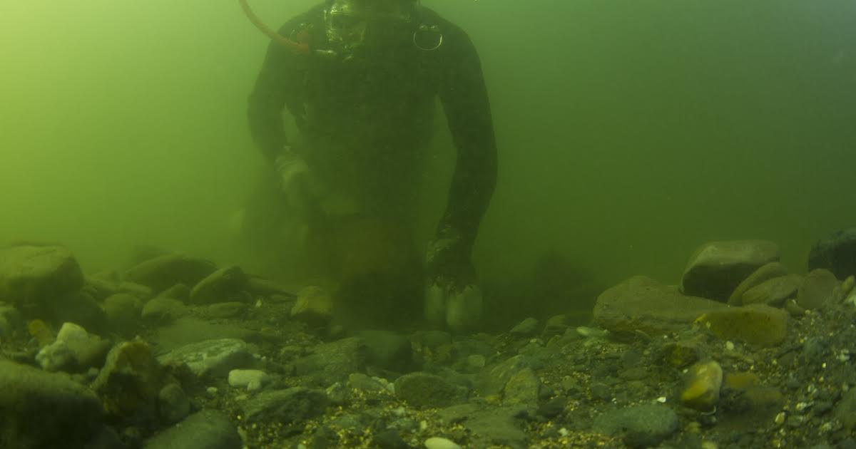 9/3 - 08:55 | Bering Sea Gold på Canal 9