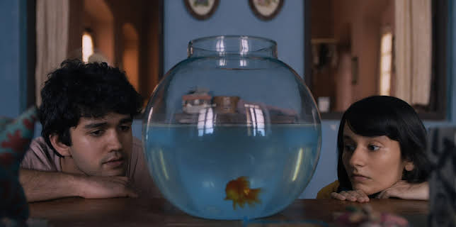 What Are the Odds? (2020)