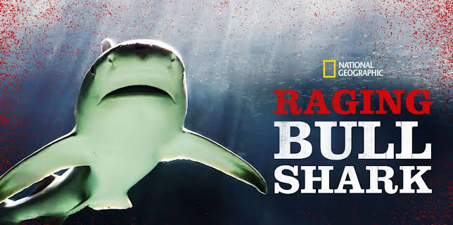 Raging Bullshark (2020)