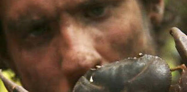 09:46: Aventura en pelotas: Es más fácil decirlo que hacerlo | Discovery Max | 2/24 2026