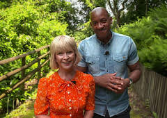 Homes Under the Hammer