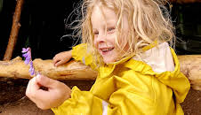 Nysgjerrige Noah: Kløver og tangbingo