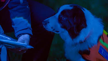 12:25 PM: Dog Squad (S3) | Cbeebies | 6/11 2026