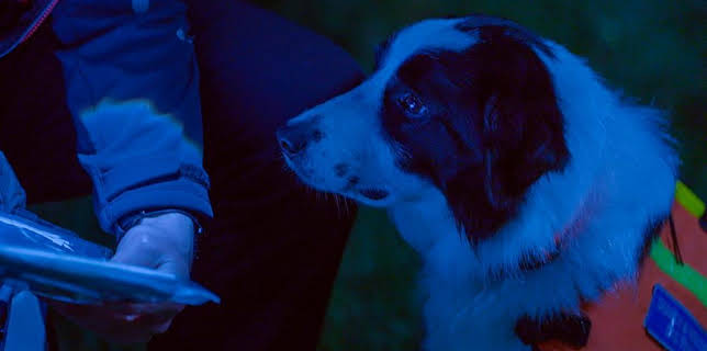 12:25 PM: Dog Squad (S3) | Cbeebies | 3/19 2026