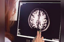 What Darwin Didn't Know: The Modern Science of Evolution: The Evolution of Brains and Behavior