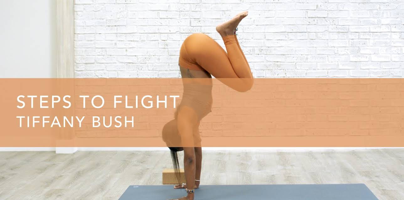 Steps to Flight (2021)