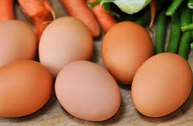 Nutrition Made Clear: Protein - An Indispensable Nutrient