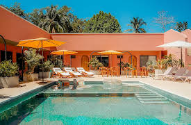 Betting on Paradise: Race to Paradise