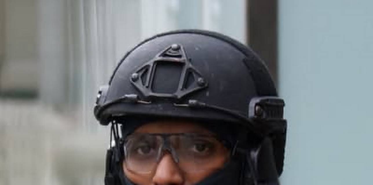 Sweden Dying to Be Multicultural (2017)