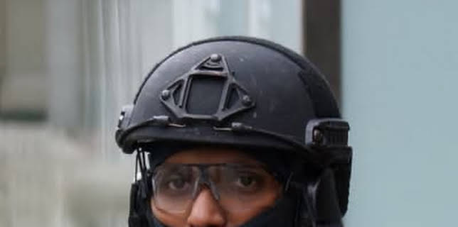 Sweden Dying to Be Multicultural (2017)