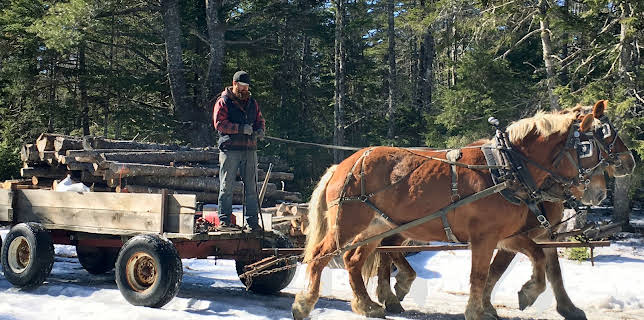 14:30: Kanadas deutsche Küste (1/2) | 3SAT | 1/9 2026