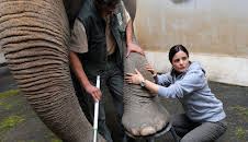 Tierärztin Dr. Mertens (S02/E04)