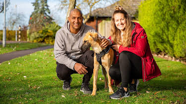 6:50 PM: The Dog House | More 4 | 10/6 2026